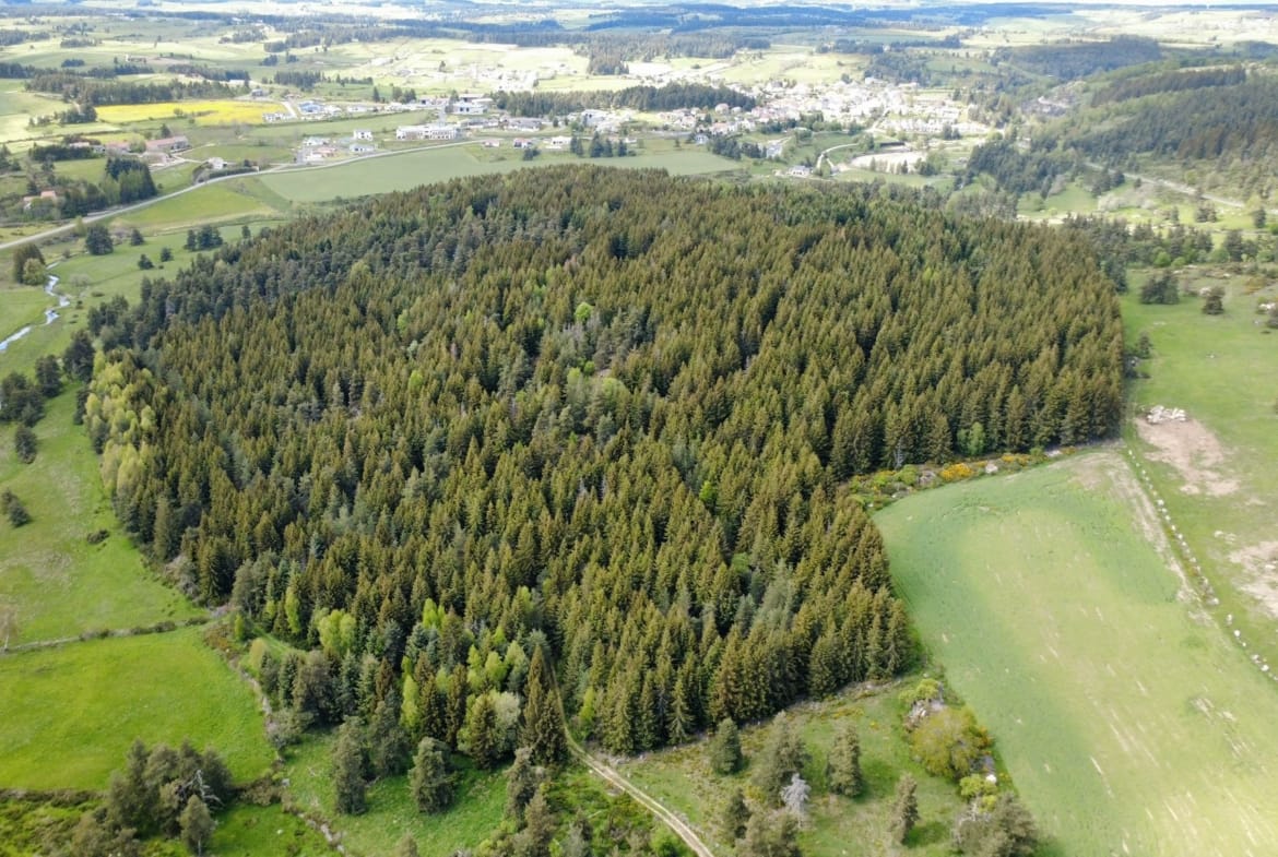 forêt de production Margeride