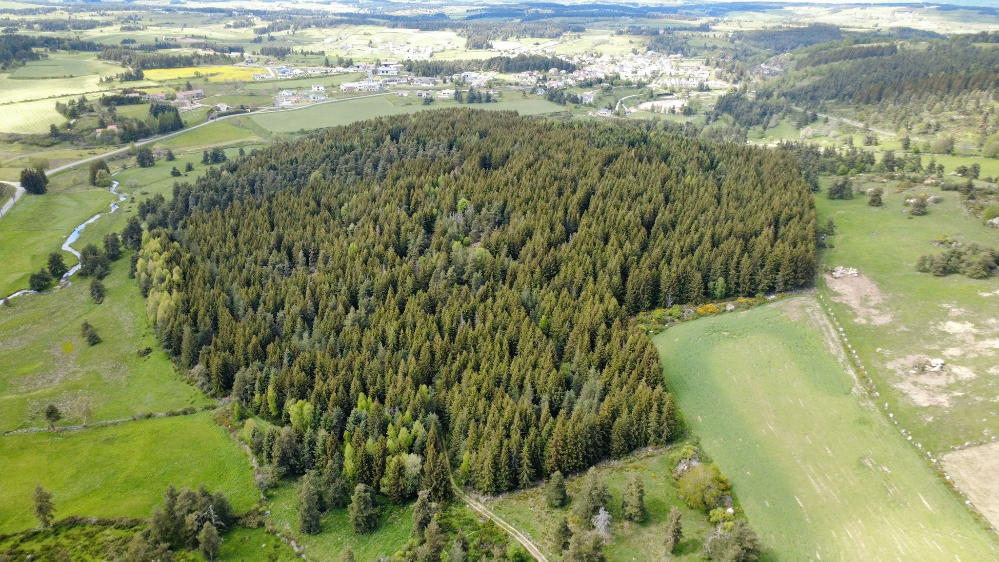 forêt de production Margeride