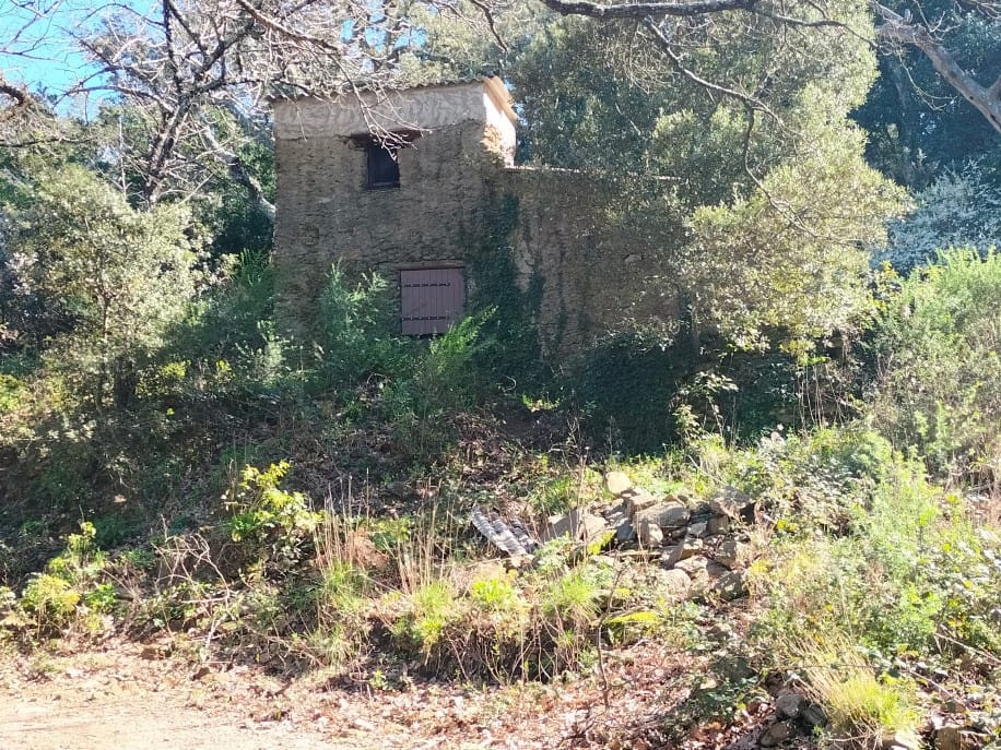 propriété forestière massif des Maures
