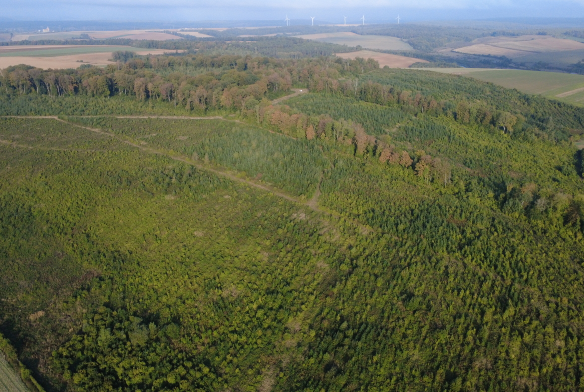 Forêt à vendre en Meuse (55) |