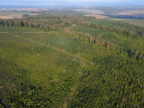 Forêt à vendre en Meuse (55) |