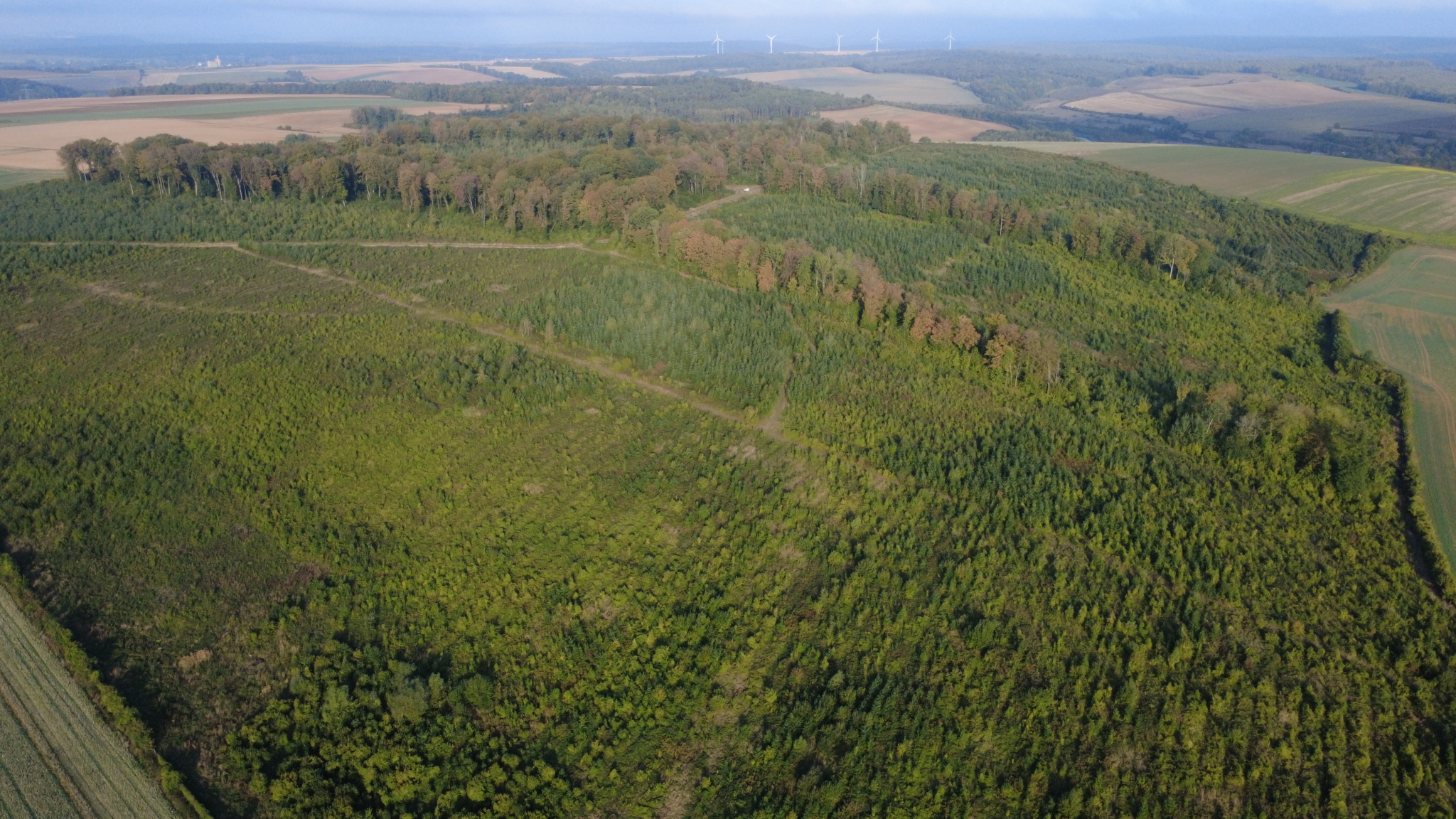 Forêt à vendre en Meuse (55) |