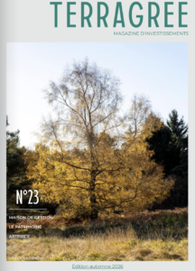 Magazine d'investissements Automne